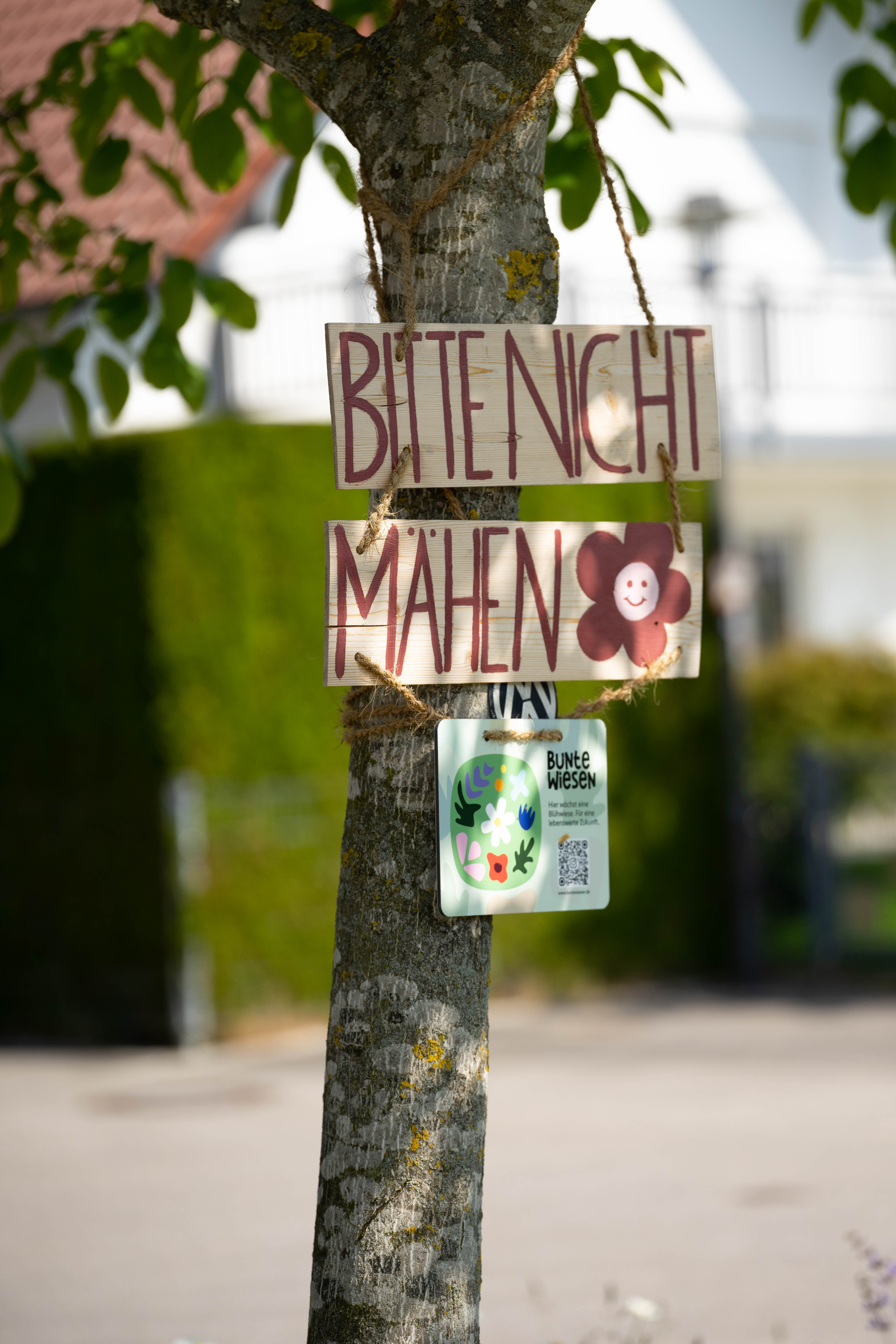 Beschilderung: bitte nicht mähen